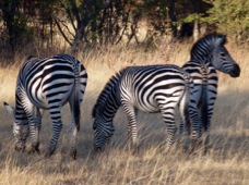 Lusaka Kafue